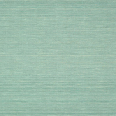 Indoor Rug