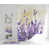 Lavender/Yellow is out of stock selected