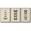 Ensemble de 3 papillons encadrés sur toile pauquet-97710718-97710720