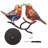 Kaveh Animals Figurines & Sculptures