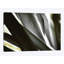 « transparent », impression sur toile-31292142