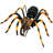 Learning Advantage WILD! Science Extreme Science Kit, Spiders Of The World