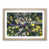 Oak Framed selected