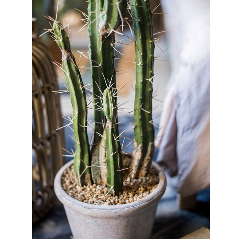 37.4'' Faux Cactus Plant in Cement Planter