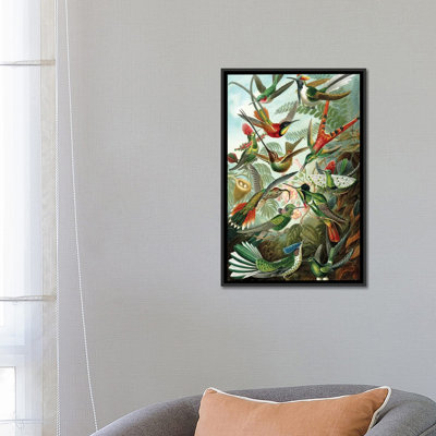 Patent Print Store " Haeckel Hummingbirds " by PatentPrintStore