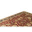 Wool Oriental Area Rug