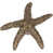 Burnished Bronze