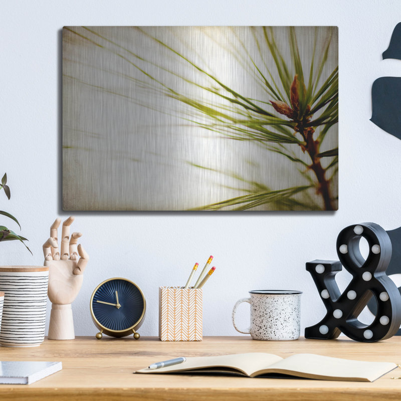 «Pine Needles» par Jessica Rogers, H 12 po x l 16 po