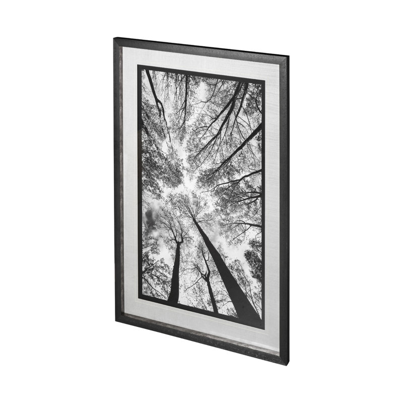 «Look Up I BW a», reproduction d'art encadrée à la main avec passe-partout