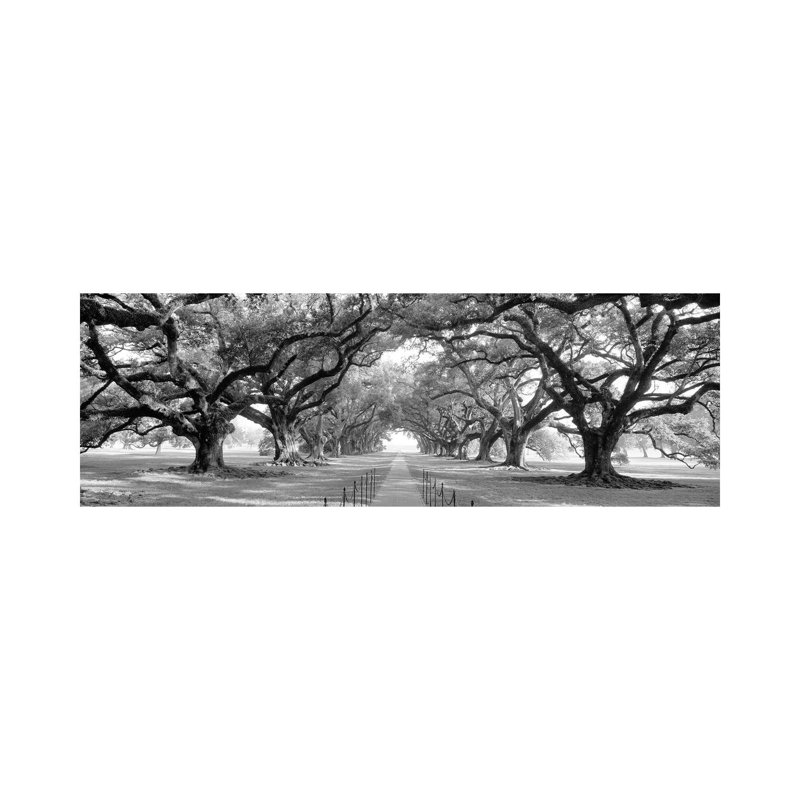 Brick Path Through Alley Of Oak Trees, Louisiana, New Orleans, USA - Wrapped Canvas Panoramic Print