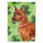 Pinscher miniature brun sélectionné