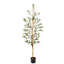 Olive artificielle en pot-1072381704
