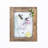 Brown Clip Picture Frame