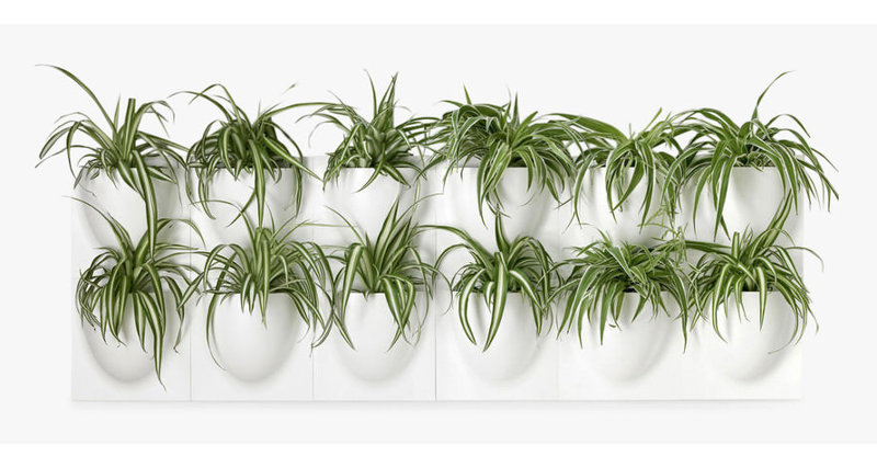 Wall Planter, White