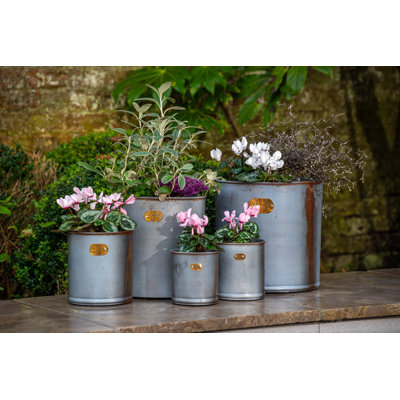 Chesson Metal Pot Planter