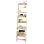 Doggett Ladder Bookcase