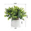 Eucalyptus artificiel 11 po en pot