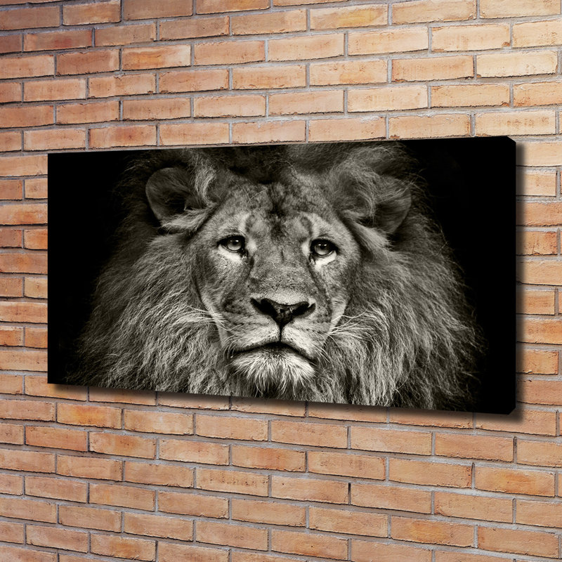 Lion - Wrapped Canvas Print