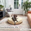 Lit pour chien Buckhead-102075529-102075527
