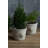 Lynda Pot Planter-659917633
