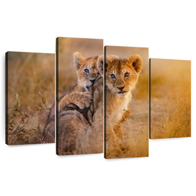 Brampt Adorable Lion Cubs