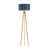 Navy Blue/Gold