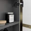 Two Door Steel Frame Arch Shape Medicine Cabinet-1728022036