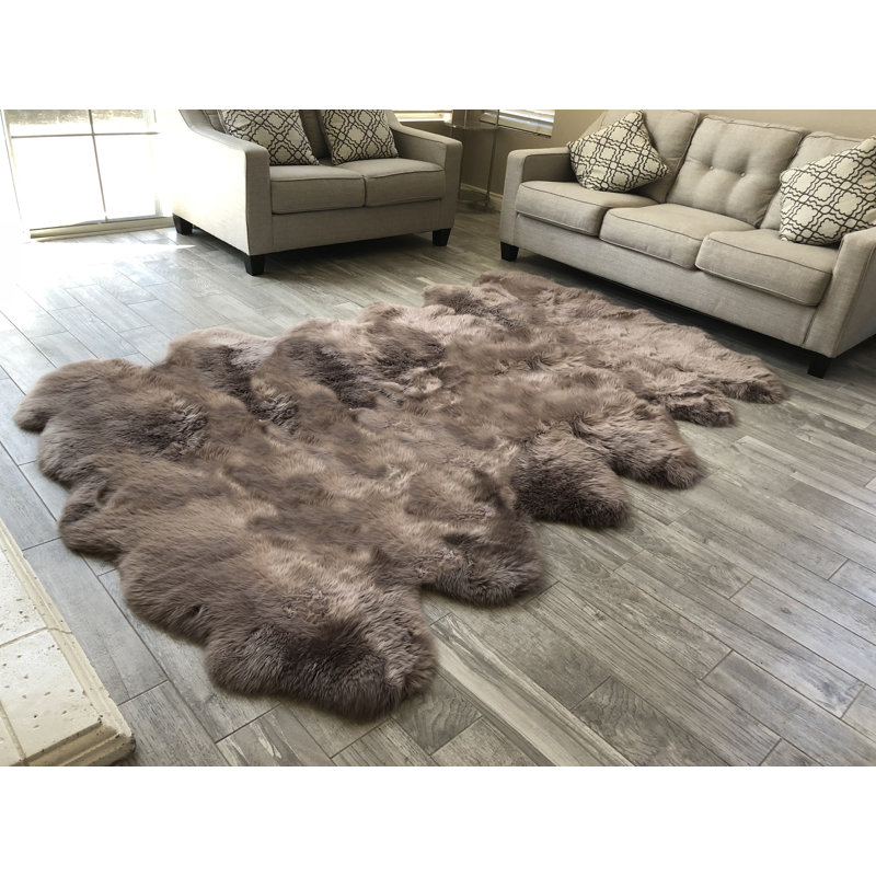 Tapis brun Whiddon, Nouveauté 6 pi x 12 pi