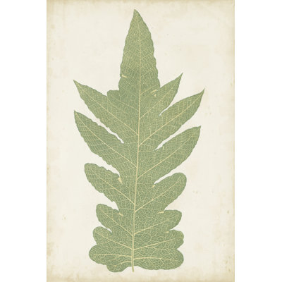 Fern Family IX 1 Piece Wrapped Canvas Painting