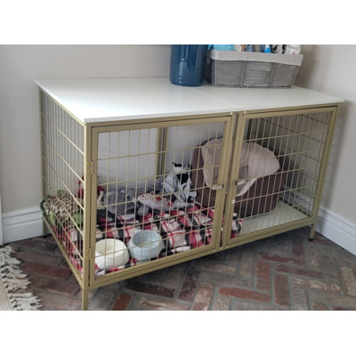 Dog Crate