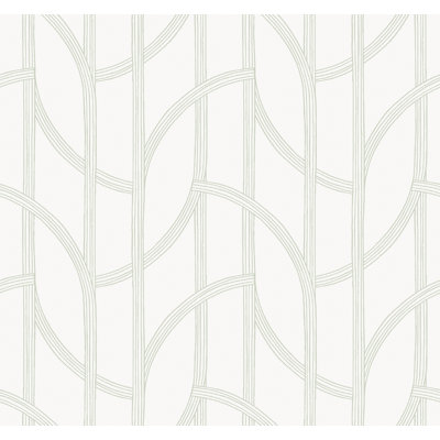 Salvo Curved Contours Wallpaper