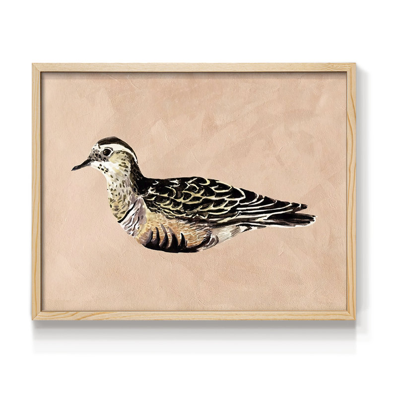 «Feathered Friend III», reproduction encadrée, H 8 po x l 10 po, Naturel