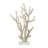Watchet Polystone Coral Decorative Cream Sculpture with Clear Acrylic Base