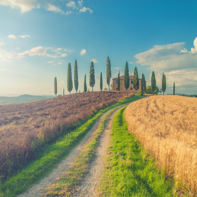 " Tuscan, Pienza, Italy " by Jaropienza