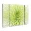 Ensemble de 3 panneaux Cora Niele «Lime Light Spider Mum»-245303264