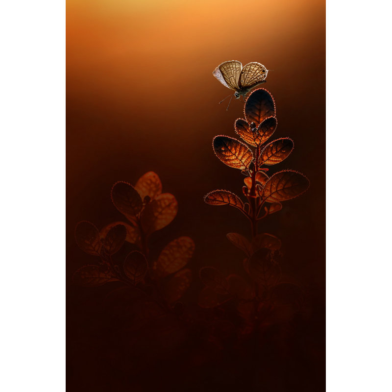 Light, 76.2 cm H x 50.8 cm W
