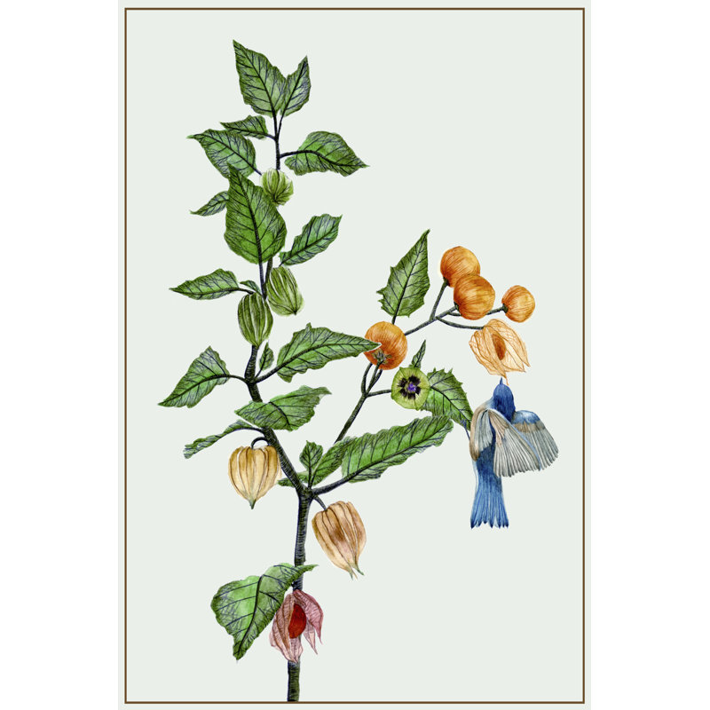 Cape Gooseberry II by Melissa Wang - Wrapped Canvas Art Prints, 46cm H x 30cm W x 3.8cm D