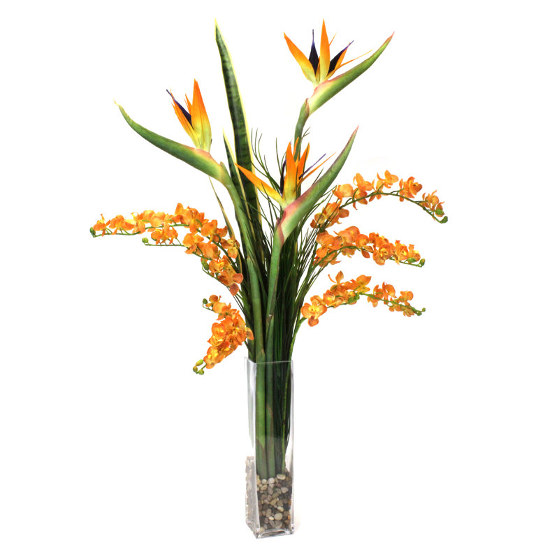 Vase décoratif sansevieria orchidée