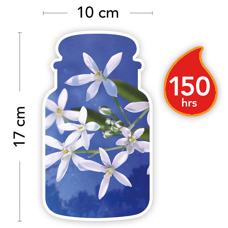 Jasmine Scented Jar Candle