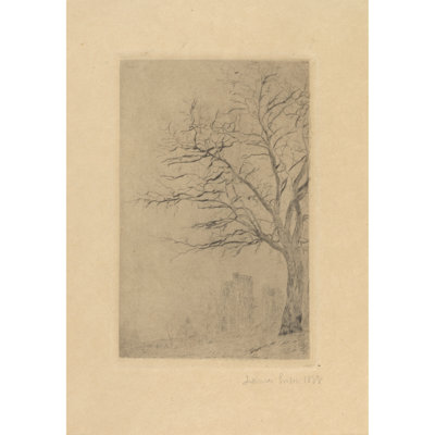 Acacia (1888)