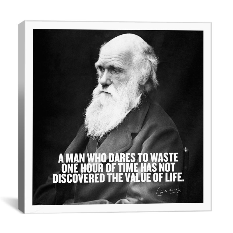 Citation de Charles Darwin, impression sur toile, H 37 po x l 37 po x P 1,5 po, Pas de tapis, Toile tendue