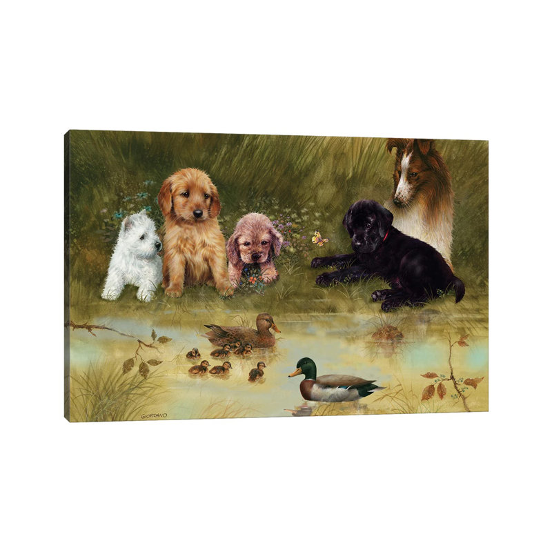 Visit To The Pond by Giordano Studios - Wrapped Canvas Gallery-Wrapped Canvas Giclée, 20.32 cm H x 30.48 cm W