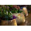 Leonard Metal Pot Planter