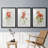" Linen Geranium " 3 - Pieces-453183002-453183000