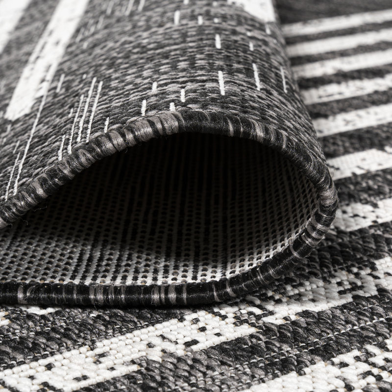 Edinburg Berber Stripe Geometric Black/Ivory Indoor/Outdoor Rug, Rectangle 6' x 9'