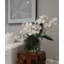 Phalaenopsis Orchid Floral Arrangement in Vase
