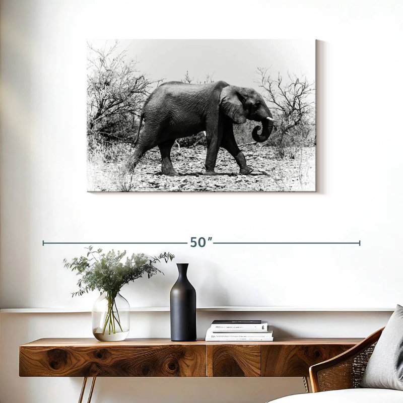 Éléphant d'Afrique Brampt au Botswana, H 24 po x l 36 po
