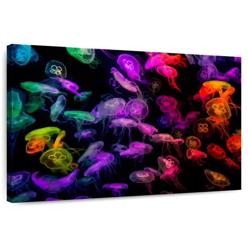 Brampt Colorful Jellyfish, 8" H x 12" W