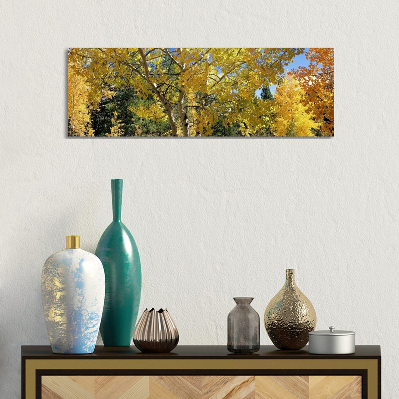 Aspen Trees In Autumn, Colorado, USA - Wrapped Canvas Panoramic Print, 30.48 cm H x 91.44 cm W x 1.91 cm D