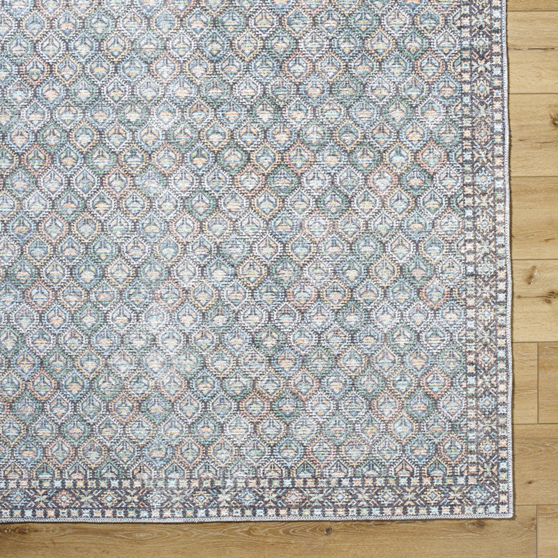 Alcaide Washable Oriental Indoor Rug, Rectangle 6'7" x 9'